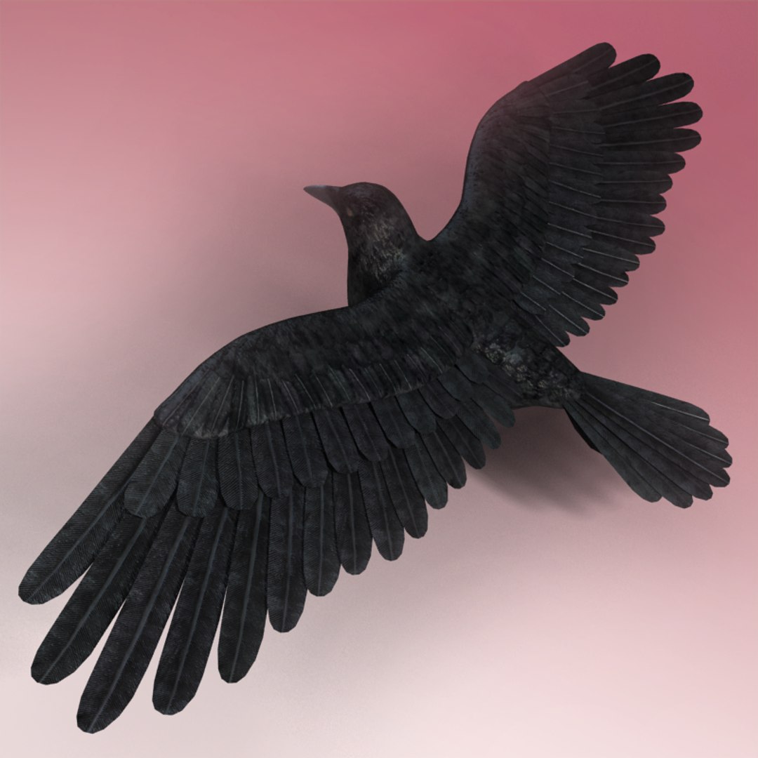 3ds Max Crow Rigged