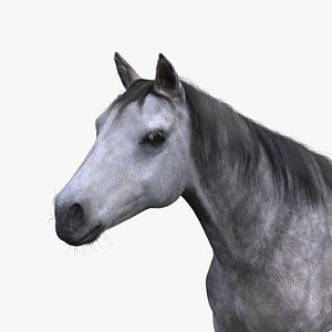 3D model horse fur