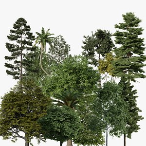 3D All In One Plant Pack Tree