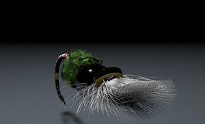 chronomid pupa pattern dry fly