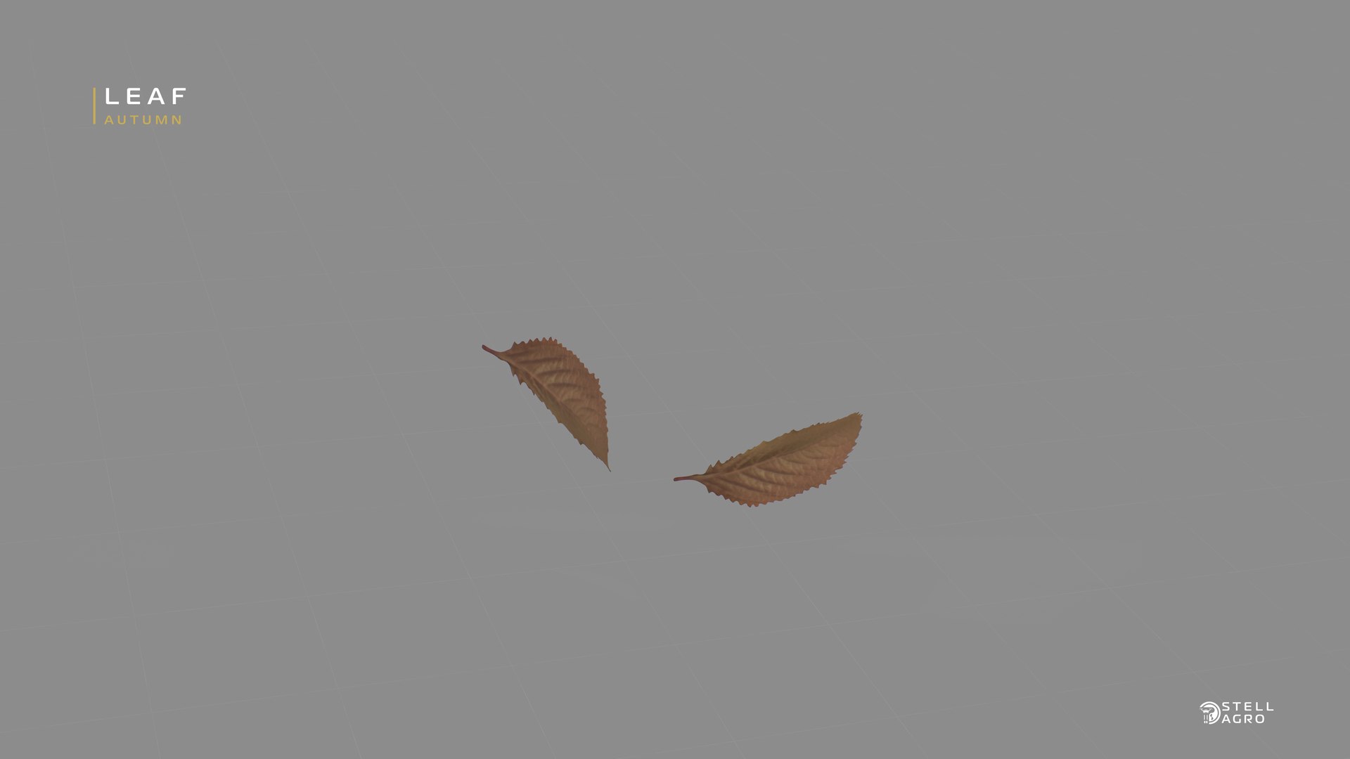 Leaf Autumn Stell Agro 3D model https://p.turbosquid.com/ts-thumb/fA/cZUth1/6D/weapon_camera2_002_00000sfsf/jpg/1652842529/1920x1080/fit_q87/605048967f2a05189b1fbbeaa49336eb5e6f55bd/weapon_camera2_002_00000sfsf.jpg
