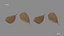 Blatt Herbst Stell Agro