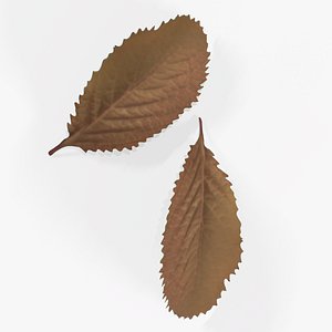 Leaf Autumn Stell Agro 3D model