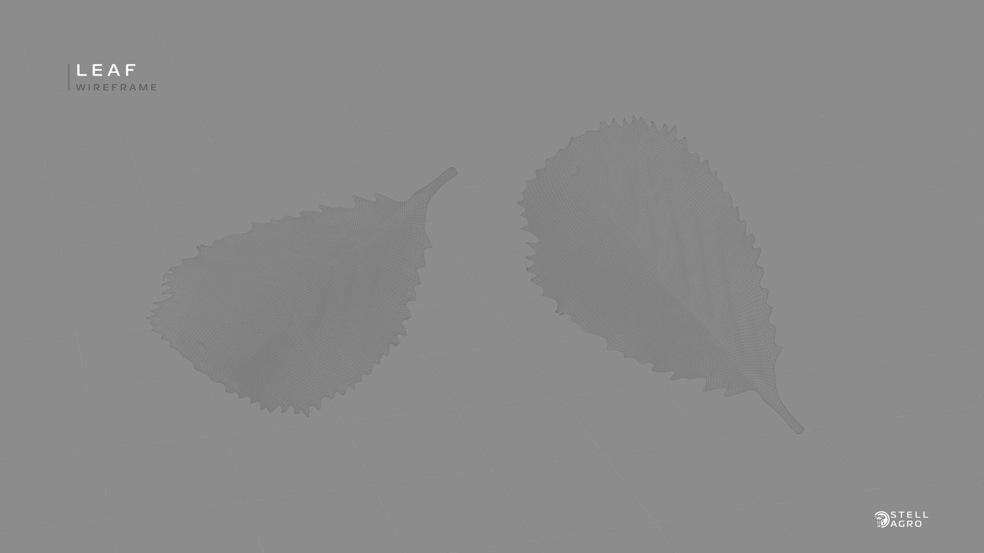 Leaf Autumn Stell Agro 3D model https://p.turbosquid.com/ts-thumb/fA/cZUth1/X9/eeqeeq_00000/jpg/1652842532/1920x1080/fit_q87/4271bd3e190e7ae8997599047bad2c26f8f26da3/eeqeeq_00000.jpg