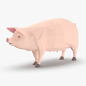 Pig Standing