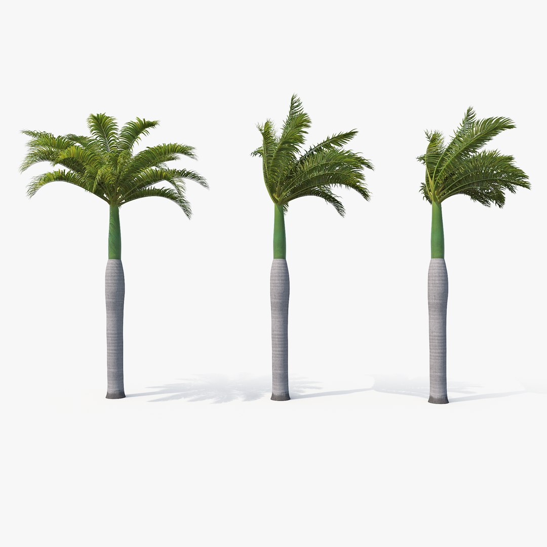 3D royal 01-03 model https://p.turbosquid.com/ts-thumb/fA/ygcwwa/6Lqa6ZEf/_sign/png/1601574533/1920x1080/fit_q87/3be847d79156ed3cac249e372227ae32ff6758c1/_sign.jpg