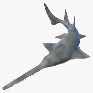 Sawfish Rigged