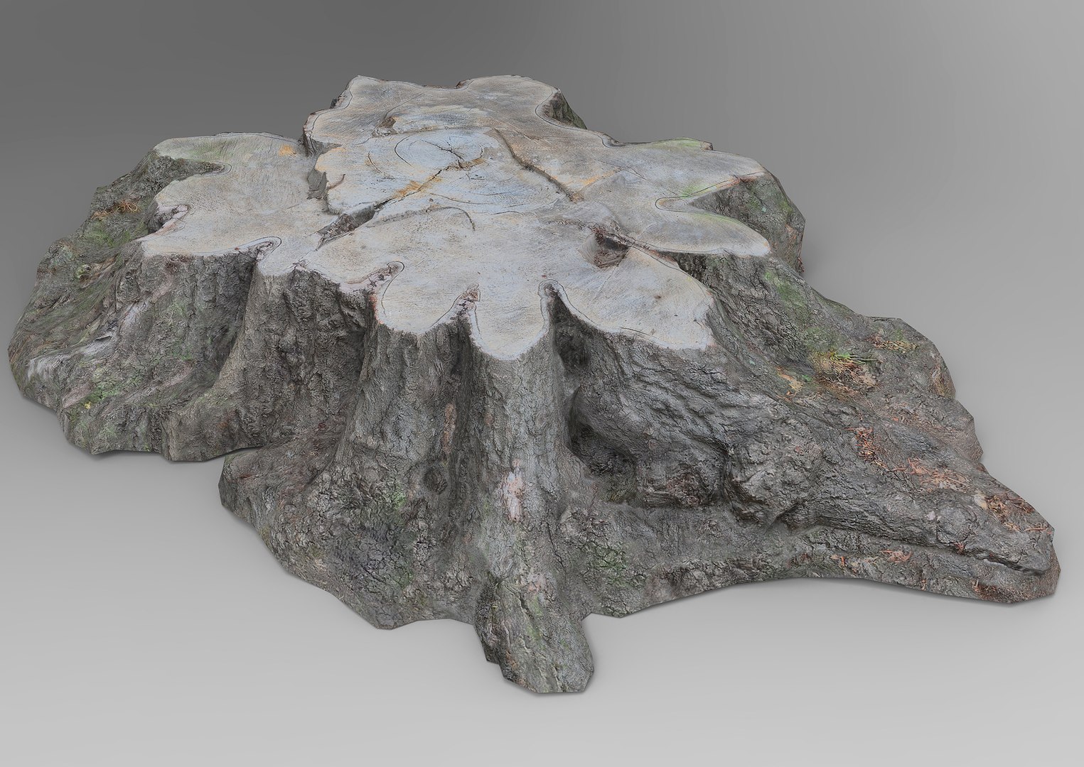 Tree Trunks 1 3D Model - TurboSquid 2219937
