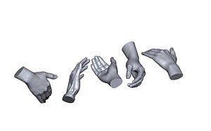 scan hands model