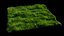 Grass and Weeds