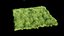 Grass and Weeds