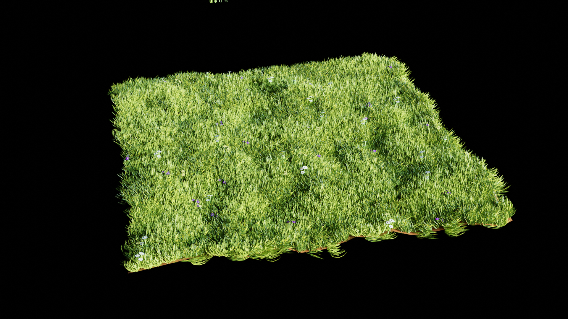 Grass 3d Model - Turbosquid 1578257