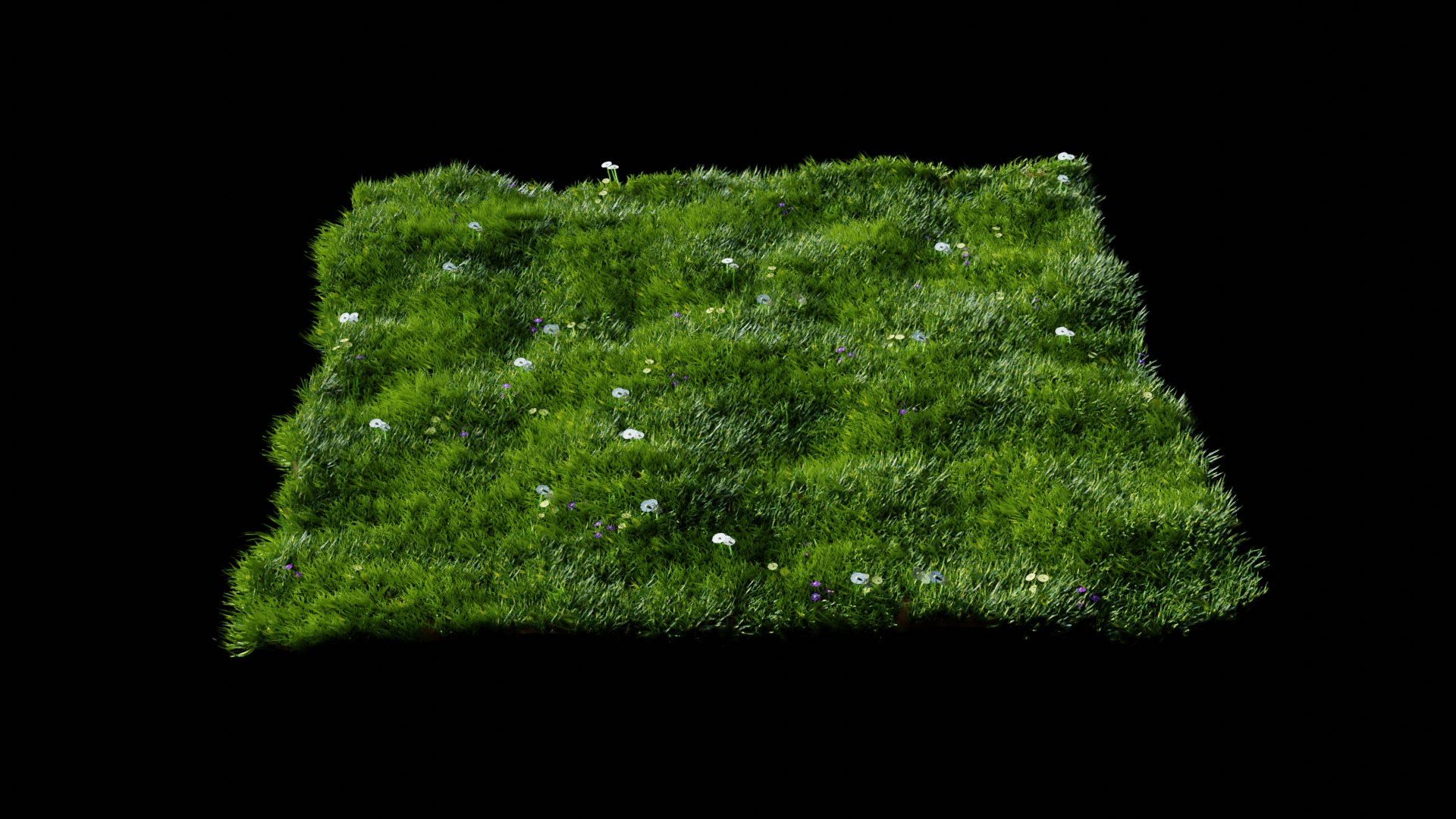 grass 3D model https://p.turbosquid.com/ts-thumb/fB/OL866V/SQ9gCcai/48/png/1594720721/1920x1080/fit_q87/ae86194c73fae44324af4b112a17674d6e809960/48.jpg