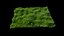 Grass and Weeds
