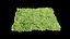 Grass and Weeds