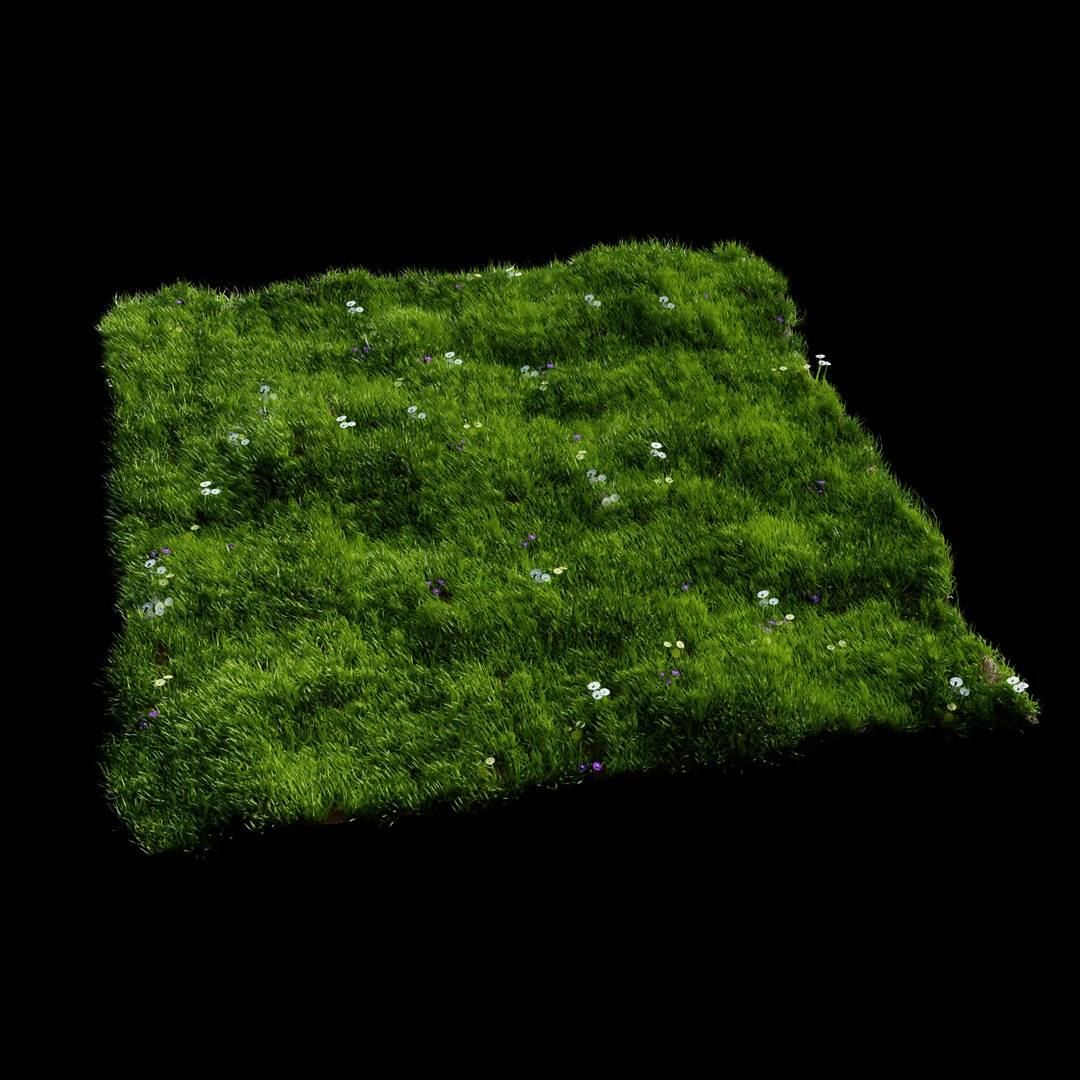 grass 3D model https://p.turbosquid.com/ts-thumb/fB/OL866V/duk4t3mv/untitled/png/1594979068/1920x1080/fit_q87/f8ab129081437179a73bab7cb7cd0e7f79ac2fe9/untitled.jpg