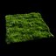 Grass and Weeds