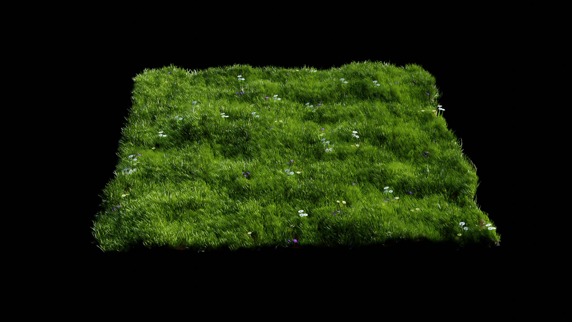 grass 3D model https://p.turbosquid.com/ts-thumb/fB/OL866V/ogl3MUKO/23/png/1594720721/1920x1080/fit_q87/455eb1c336af04c0f568c536a49f9b7c4f01a583/23.jpg