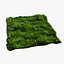Grass and Weeds
