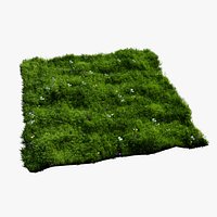 Grass and Weeds
