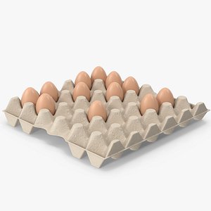 3D Egg Carton With Eggs model