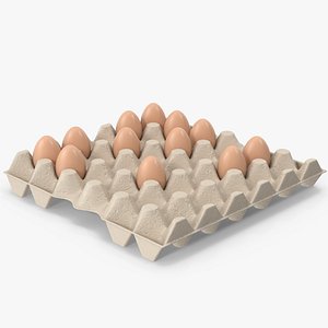 Egg Carton With Eggs