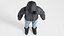 Women's Winter Clothing Collection