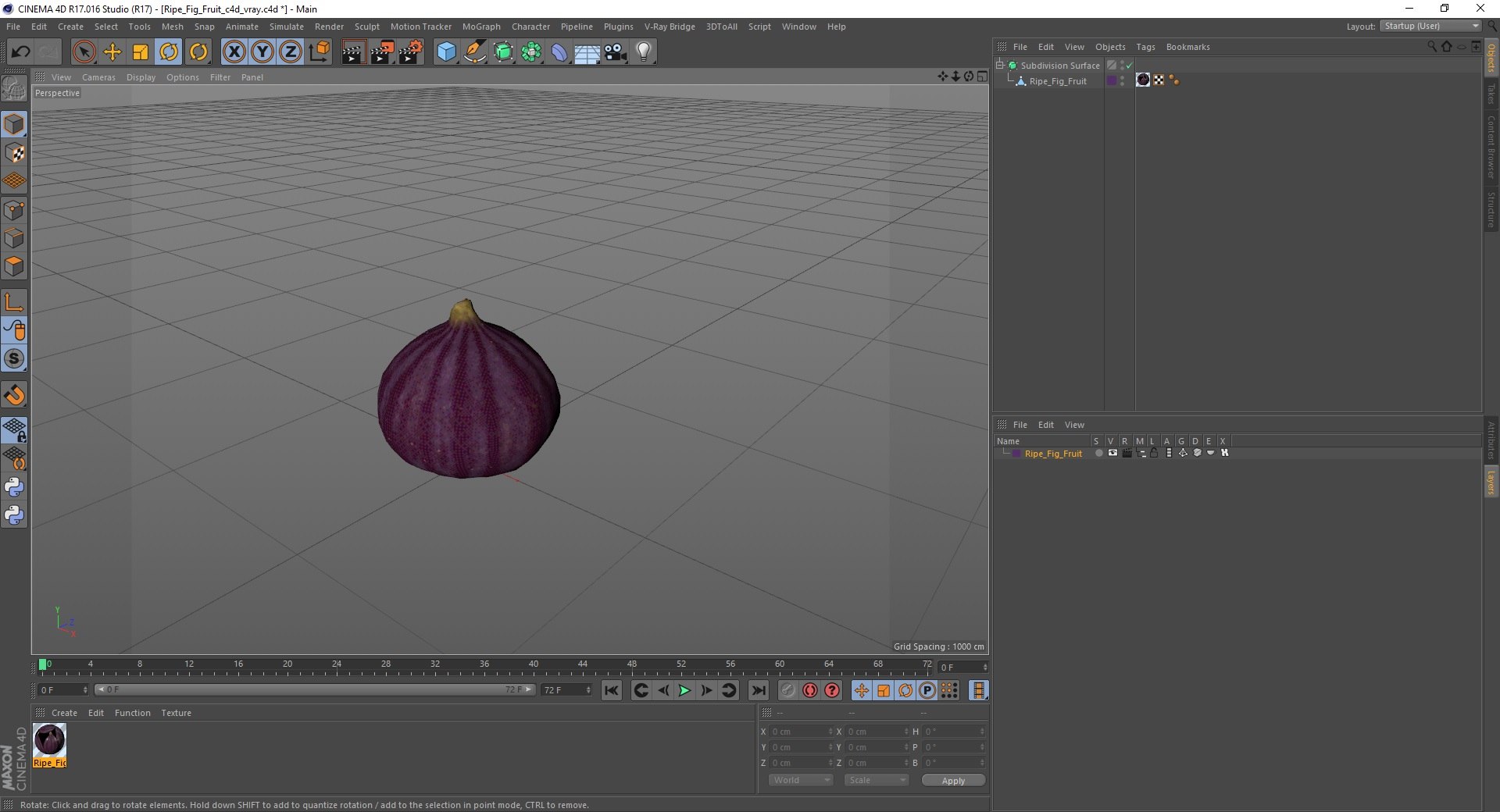 Ripe Fig Fruit 3D https://p.turbosquid.com/ts-thumb/fB/aSjK0e/1J/ripefigfruitmb3dmodel030/jpg/1680926733/1920x1080/fit_q87/2ec7ff3075d2a8e4cd12a81c904176de11534e92/ripefigfruitmb3dmodel030.jpg