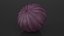 Ripe Fig Fruit