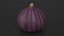 Ripe Fig Fruit