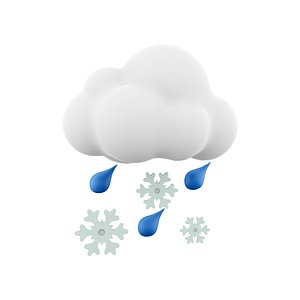 cloud and rain with snow icon 3D model