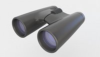 Binoculars Roof Prims  1