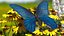 3D model Animated Papilio Butterfly Flapping Wings Rigged for Maya