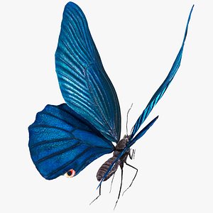 Animated Papilio Butterfly Flapping Wings Rigged for Maya