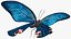 3D model Animated Papilio Butterfly Flapping Wings Rigged for Maya