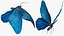 3D model Animated Papilio Butterfly Flapping Wings Rigged for Maya