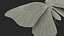 3D model Animated Papilio Butterfly Flapping Wings Rigged for Maya