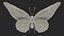 3D model Animated Papilio Butterfly Flapping Wings Rigged for Maya