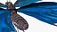 3D model Animated Papilio Butterfly Flapping Wings Rigged for Maya