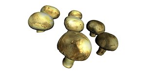 champignon mushrooms 3ds