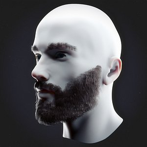 beard mustache head model