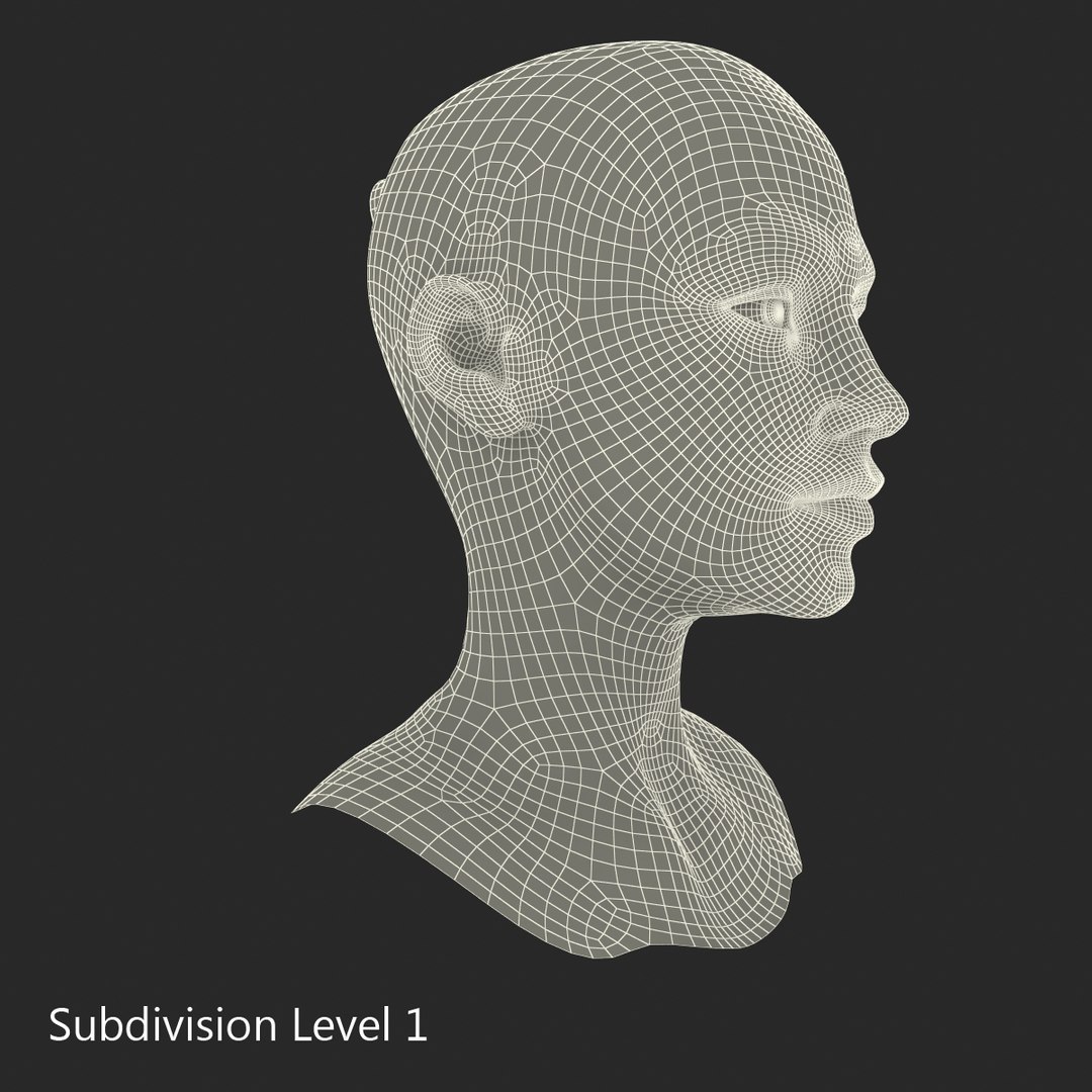 female head 6 3d max https://p.turbosquid.com/ts-thumb/fC/9q6z0y/5GaUuFDk/femalehead6_93/jpg/1404316940/1920x1080/fit_q87/07f27ed3ef22f6356246820612a8f8edbd025fb8/femalehead6_93.jpg