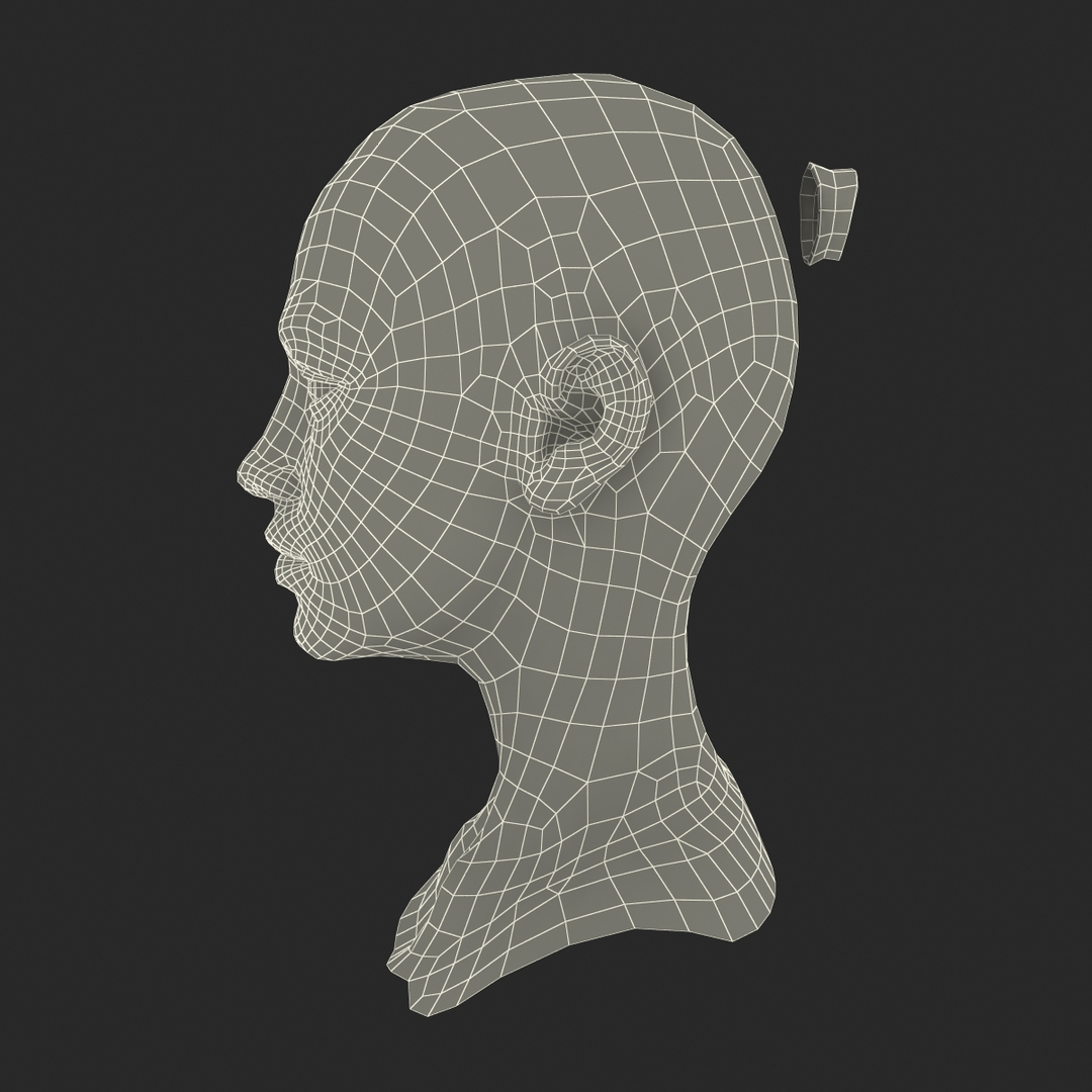 female head 6 3d max https://p.turbosquid.com/ts-thumb/fC/9q6z0y/APdmcr3I/turntablefile_361/jpg/1404316830/1920x1080/turn_fit_q99/59b5f6a1036e0c65a95f72b2e2c11e24cded6600/turntablefile_361-1.jpg