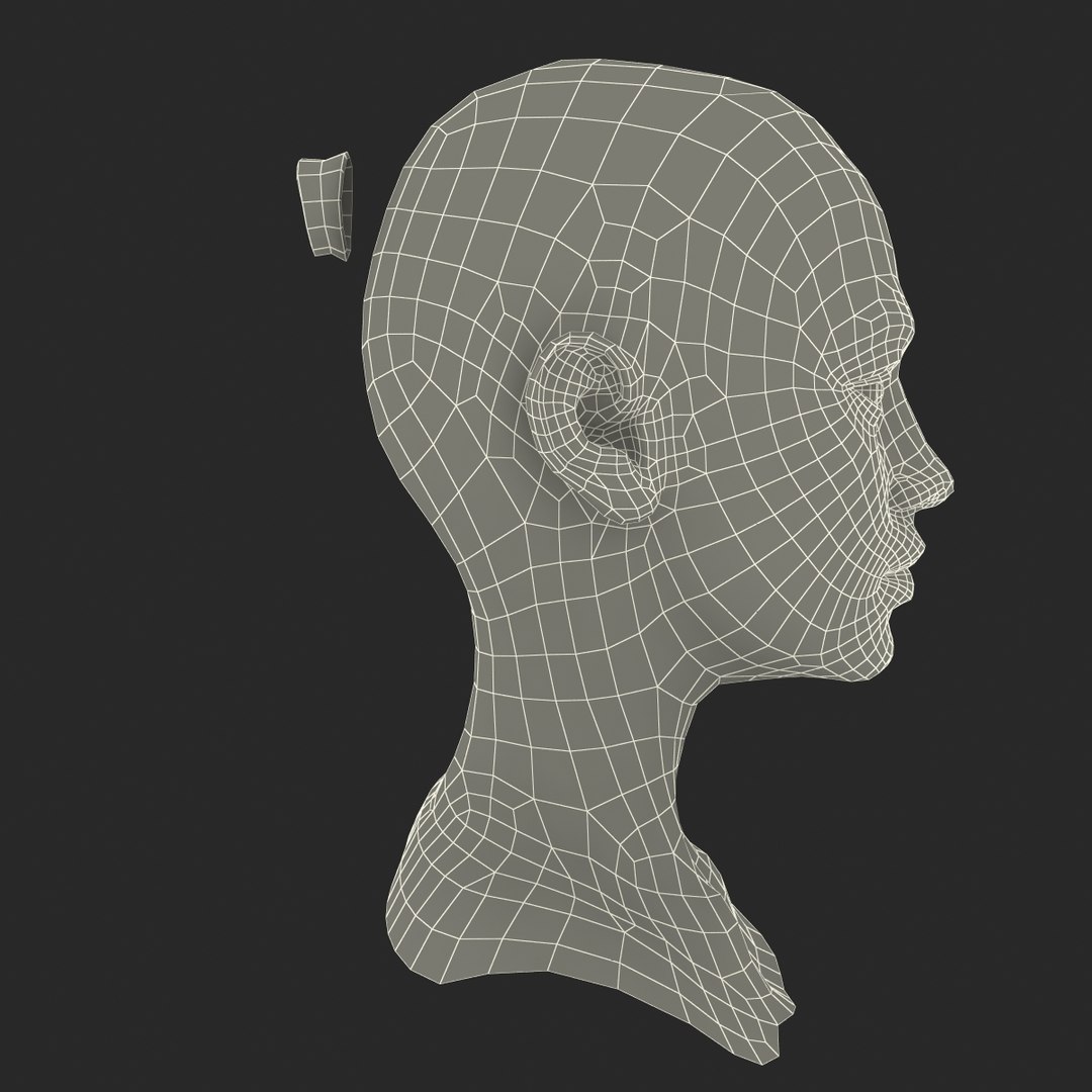 female head 6 3d max https://p.turbosquid.com/ts-thumb/fC/9q6z0y/DKvzFZIZ/femalehead6_83/jpg/1404316926/1920x1080/fit_q87/688b98ae5b049dfd829f593b2c7b8e7f3857dd2f/femalehead6_83.jpg