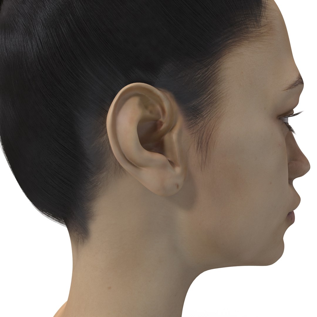 female head 6 3d max https://p.turbosquid.com/ts-thumb/fC/9q6z0y/Lcgov07J/femalehead6_80/jpg/1404316930/1920x1080/fit_q87/071be238987668c654774facc1208bcef0c12335/femalehead6_80.jpg