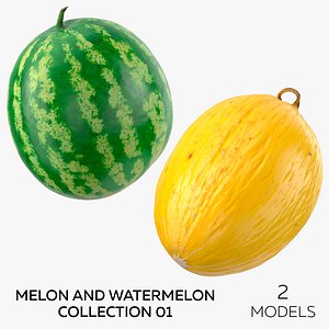 Melon and Watermelon Collection 01 - 2 models 3D model