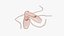 Ballet Shoes