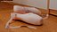 Ballet Shoes model