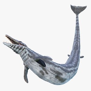 Basilosaurus Animated 3D