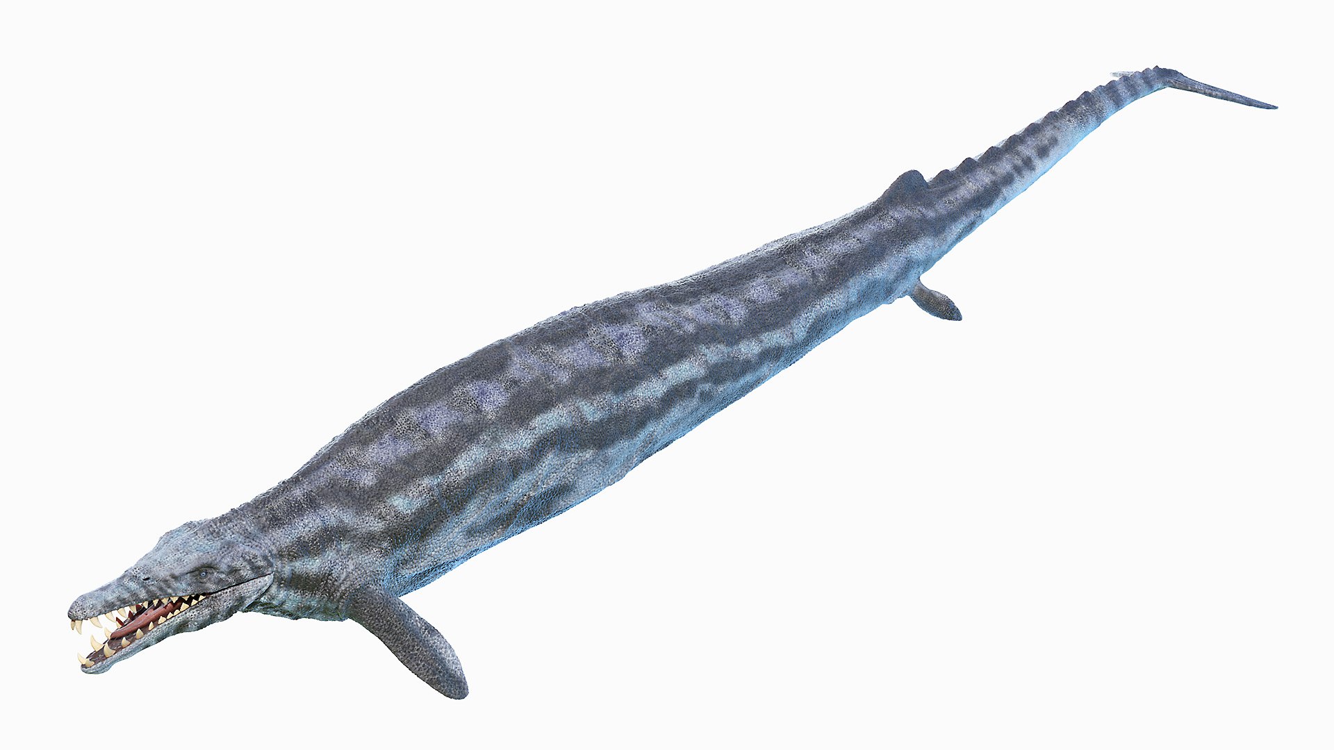 Basilosaurus Animated 3D - TurboSquid 1738655